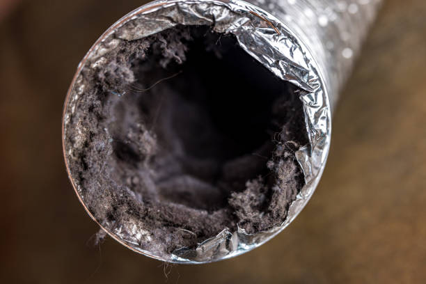 Best Commercial Air Duct Cleaning  in Carnation, WA