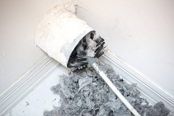 Best Affordable Duct Cleaning Services  in Carnation, WA